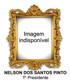 Nelson dos Santos Pinto